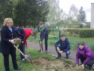 /Files/images/28042016posadi_derevo/посади дерево1.jpg