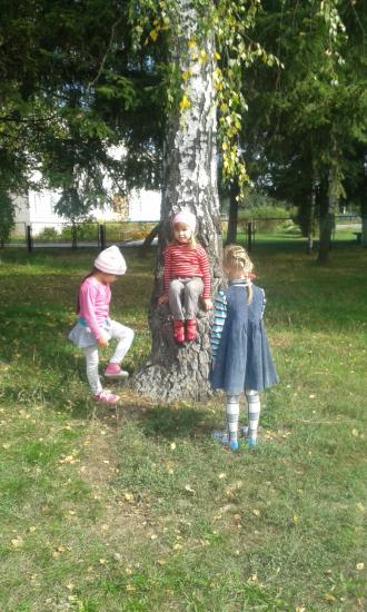 /Files/images/ditsadok/20170912_111645.jpg